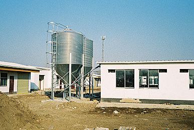 《女神异闻录5》剧情简介 《P5T》11月17日发售